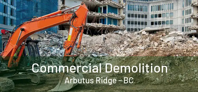  Commercial Demolition Arbutus Ridge - BC