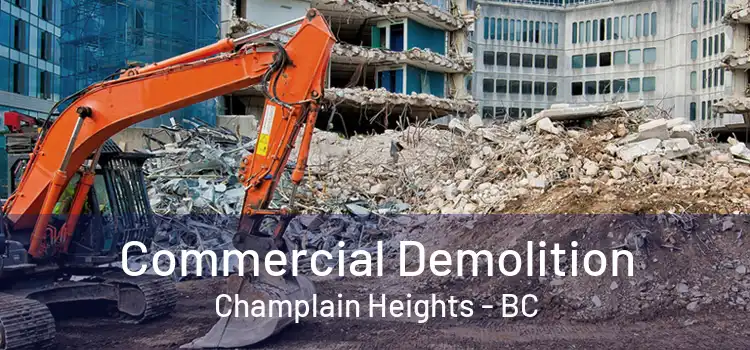  Commercial Demolition Champlain Heights - BC