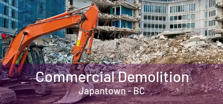  Commercial Demolition Japantown - BC