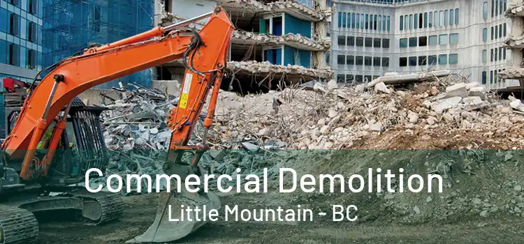  Commercial Demolition Little Mountain - BC