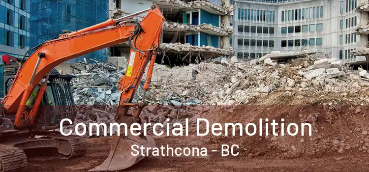  Commercial Demolition Strathcona - BC
