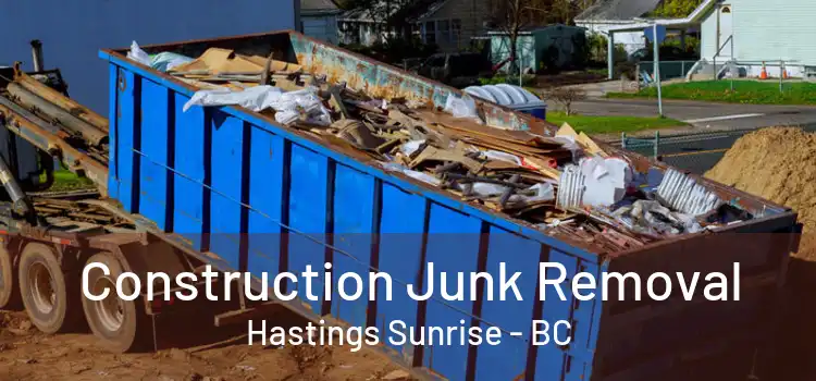  Construction Junk Removal Hastings Sunrise - BC