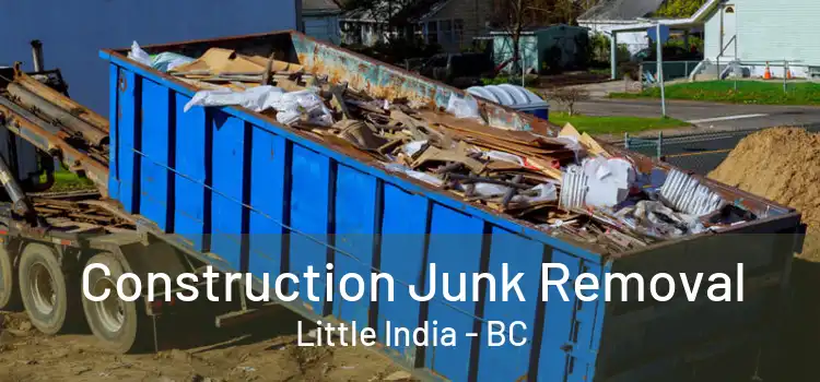  Construction Junk Removal Little India - BC