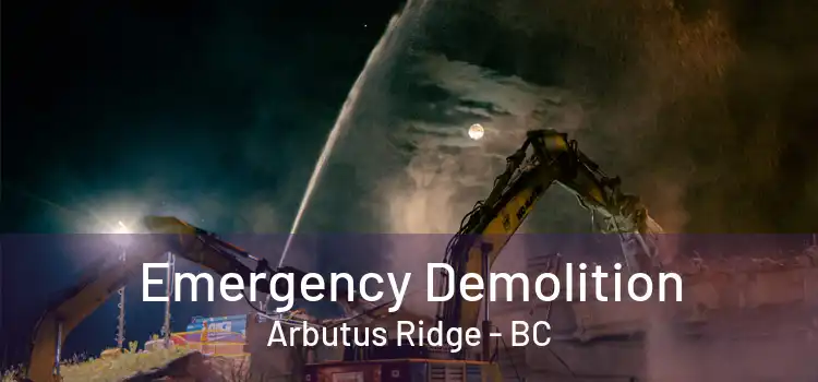  Emergency Demolition Arbutus Ridge - BC