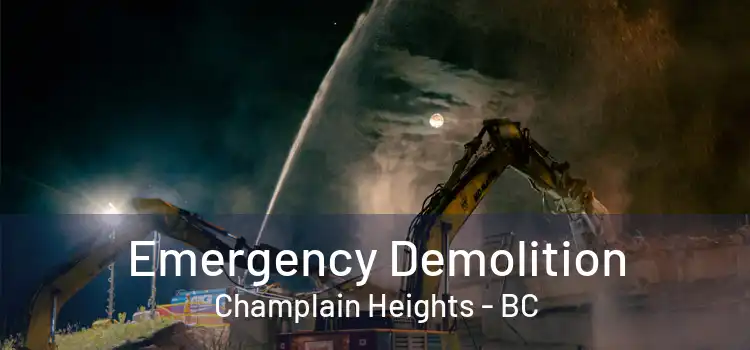  Emergency Demolition Champlain Heights - BC