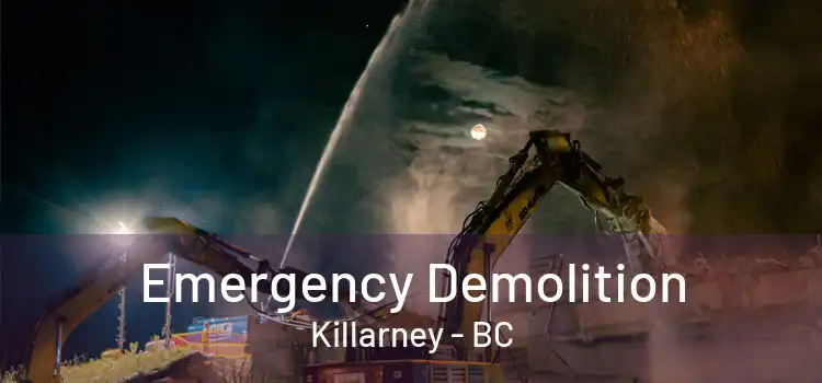  Emergency Demolition Killarney - BC