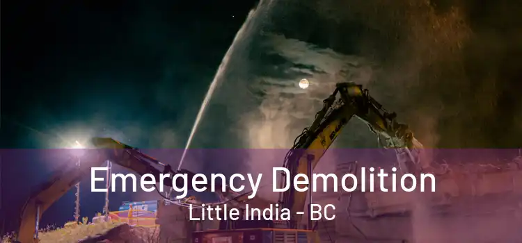  Emergency Demolition Little India - BC