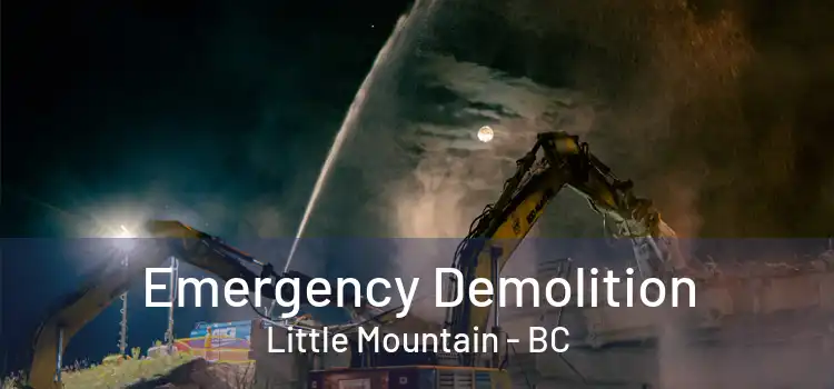  Emergency Demolition Little Mountain - BC