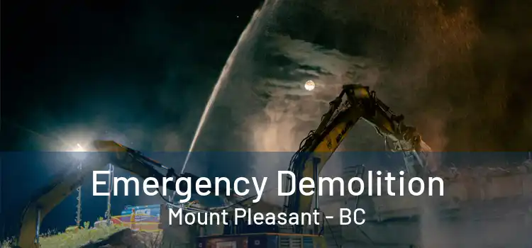  Emergency Demolition Mount Pleasant - BC
