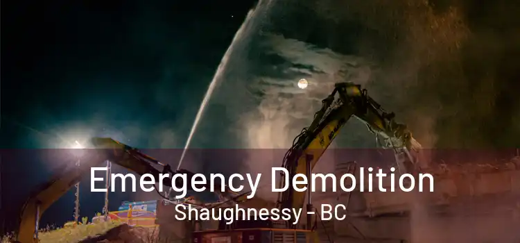 Emergency Demolition Shaughnessy - BC