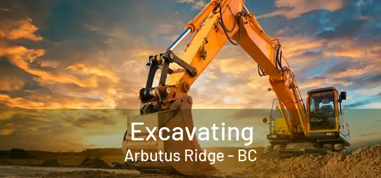  Excavating Arbutus Ridge - BC