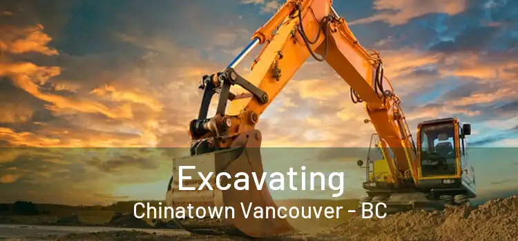  Excavating Chinatown Vancouver - BC