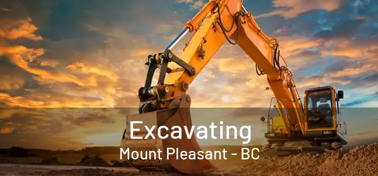  Excavating Mount Pleasant - BC
