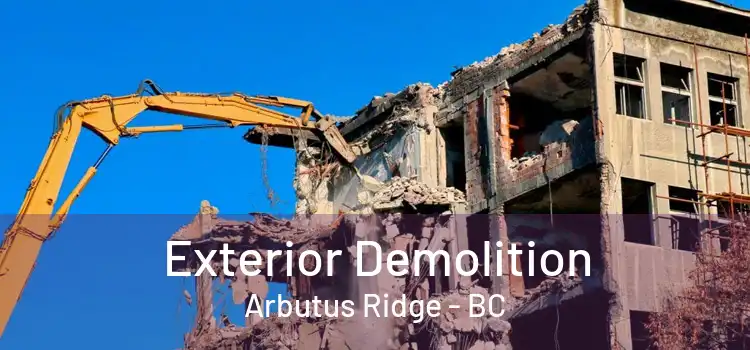  Exterior Demolition Arbutus Ridge - BC