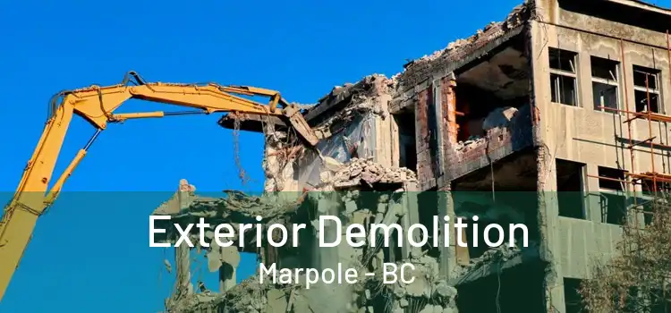  Exterior Demolition Marpole - BC