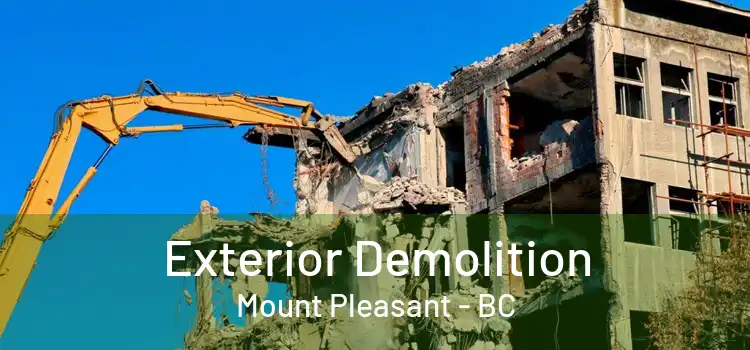  Exterior Demolition Mount Pleasant - BC