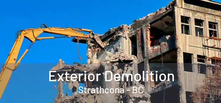  Exterior Demolition Strathcona - BC