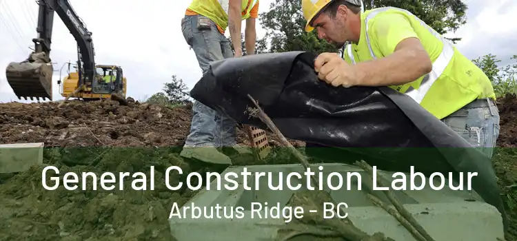  General Construction Labour Arbutus Ridge - BC