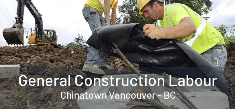  General Construction Labour Chinatown Vancouver - BC