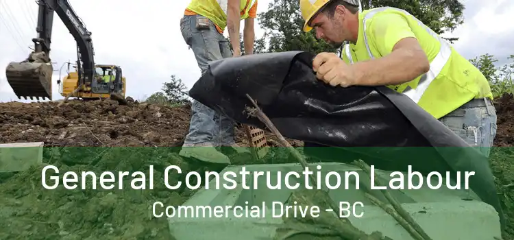  General Construction Labour Commercial Drive - BC