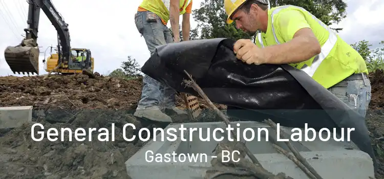  General Construction Labour Gastown - BC