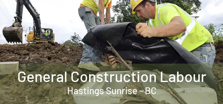  General Construction Labour Hastings Sunrise - BC