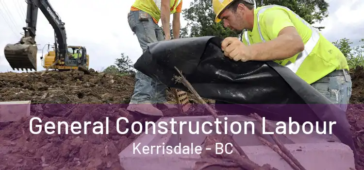  General Construction Labour Kerrisdale - BC