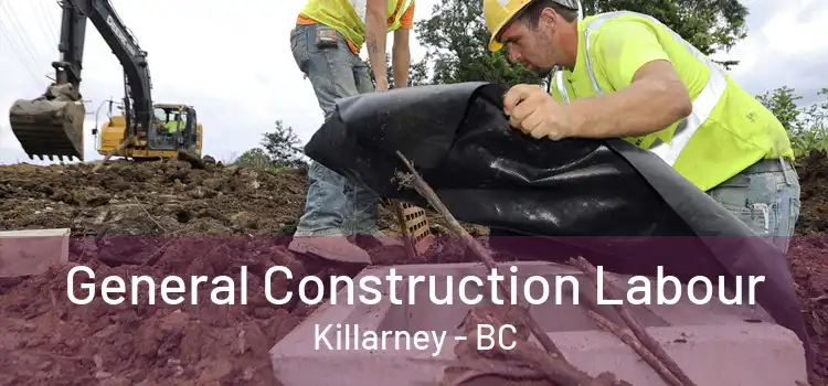  General Construction Labour Killarney - BC