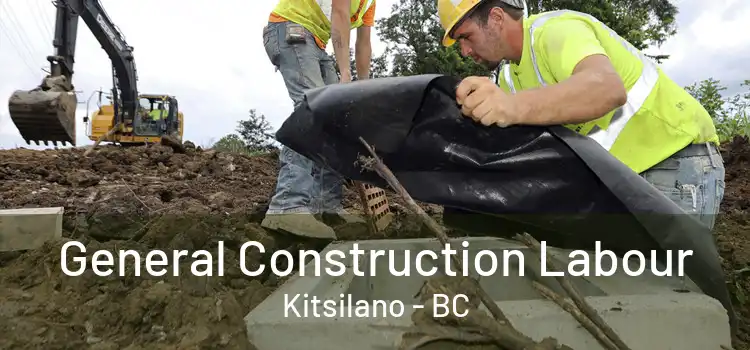  General Construction Labour Kitsilano - BC