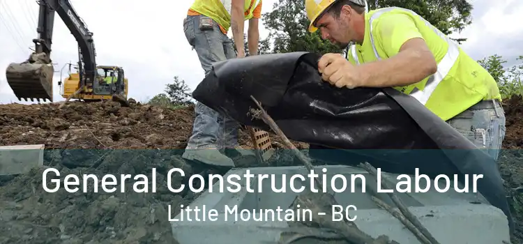 General Construction Labour Little Mountain - BC