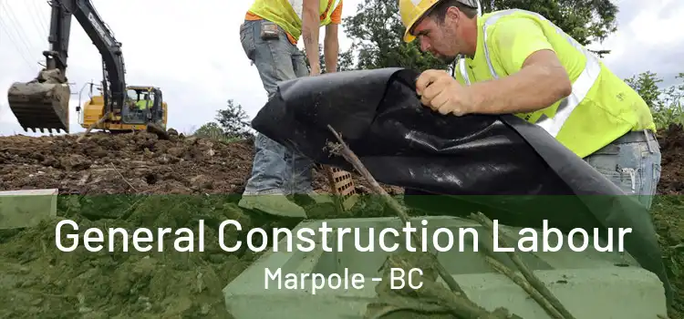  General Construction Labour Marpole - BC
