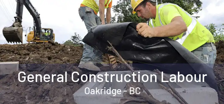  General Construction Labour Oakridge - BC
