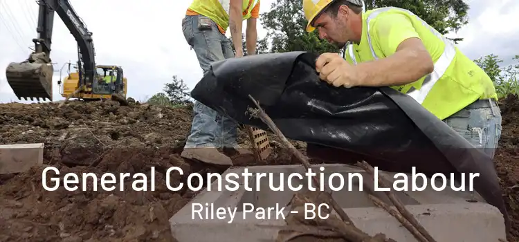  General Construction Labour Riley Park - BC