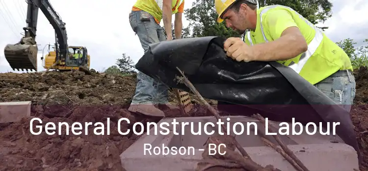  General Construction Labour Robson - BC