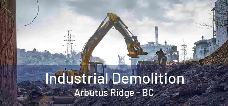  Industrial Demolition Arbutus Ridge - BC