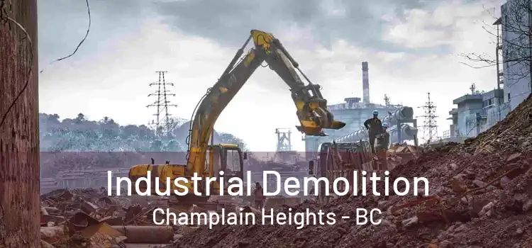  Industrial Demolition Champlain Heights - BC