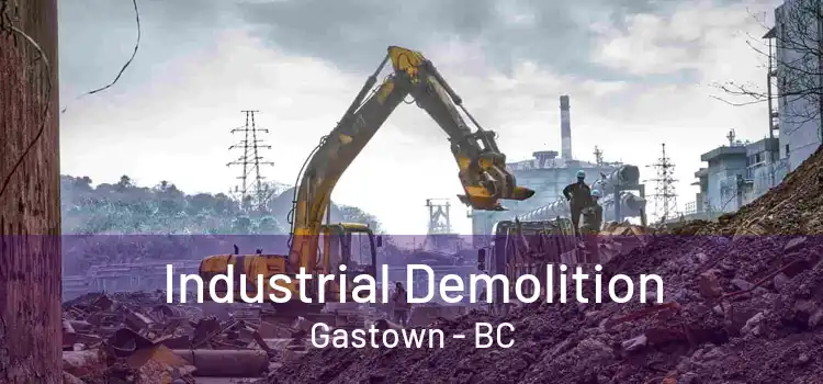  Industrial Demolition Gastown - BC