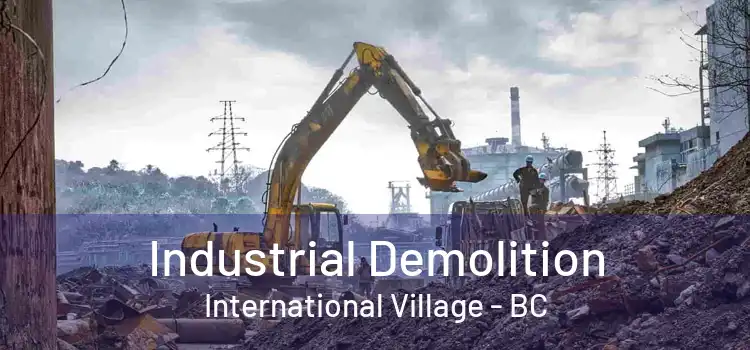  Industrial Demolition International Village - BC