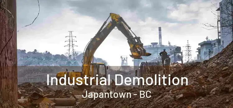 Industrial Demolition Japantown - BC