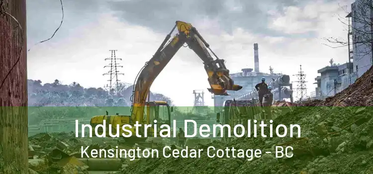  Industrial Demolition Kensington Cedar Cottage - BC