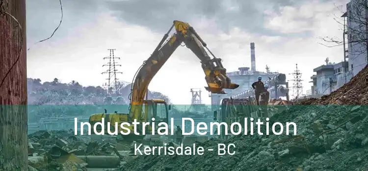  Industrial Demolition Kerrisdale - BC