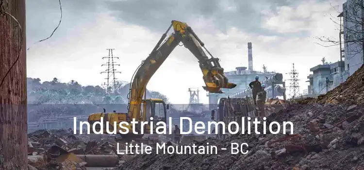  Industrial Demolition Little Mountain - BC