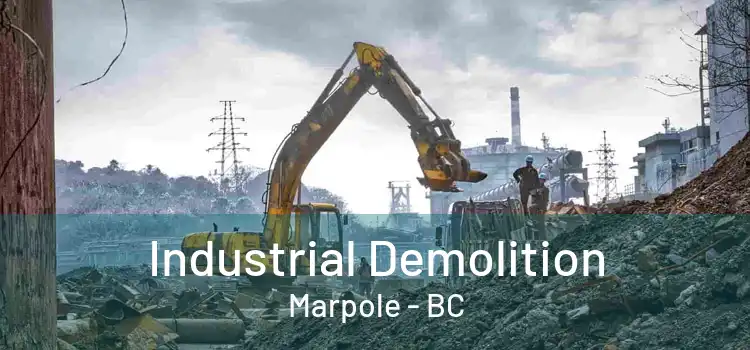  Industrial Demolition Marpole - BC