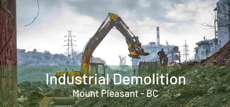  Industrial Demolition Mount Pleasant - BC