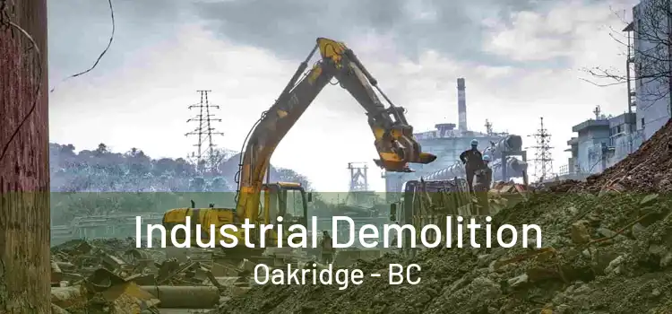  Industrial Demolition Oakridge - BC