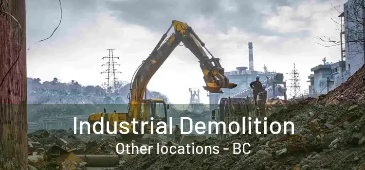  Industrial Demolition Other locations - BC