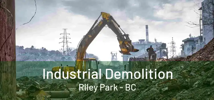  Industrial Demolition Riley Park - BC