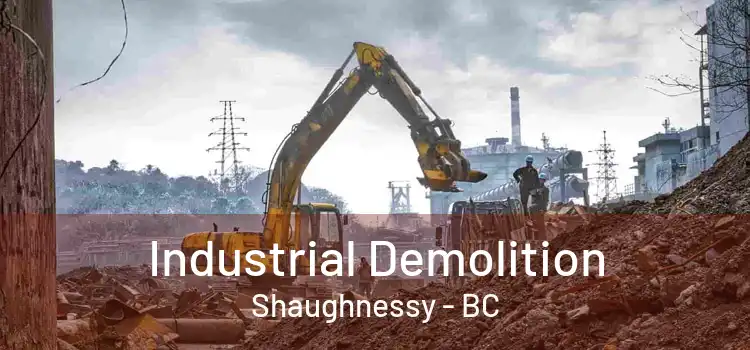 Industrial Demolition Shaughnessy - BC