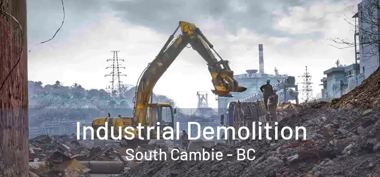 Industrial Demolition South Cambie - BC