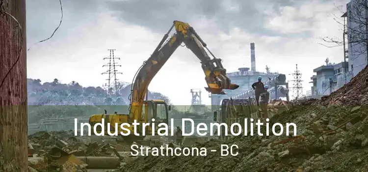  Industrial Demolition Strathcona - BC